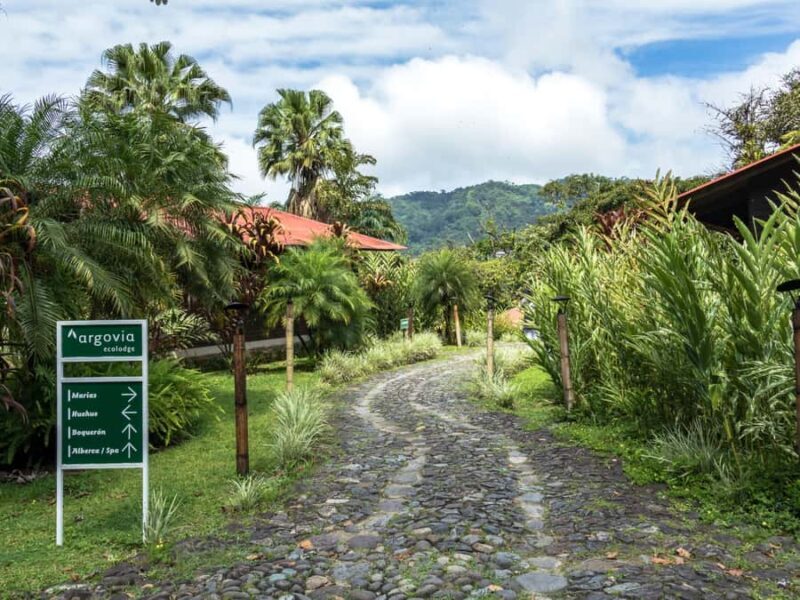 Tapachula: The Chiapas Coffee Route - An In-Depth Look at the Tour