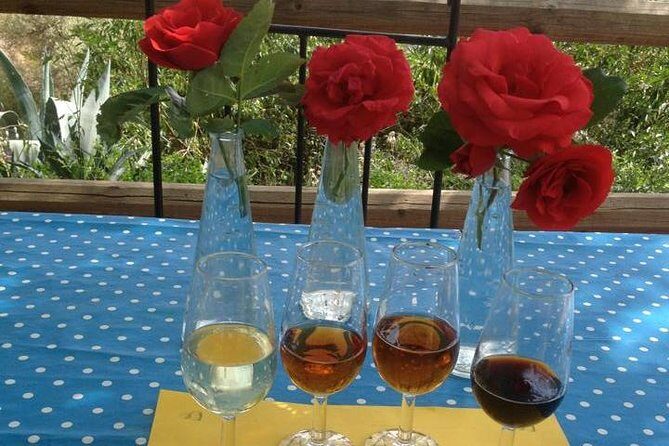 Tapas & Sherry an Andalucian Gourmet Experience. - The Experience: A Deep Dive into the Andalucian Culinary World