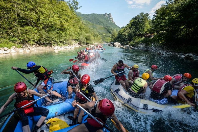 Tara Canyon: One Day Tara Rafting Trip - Rapids, Swimming, and Rocks: Fun for All