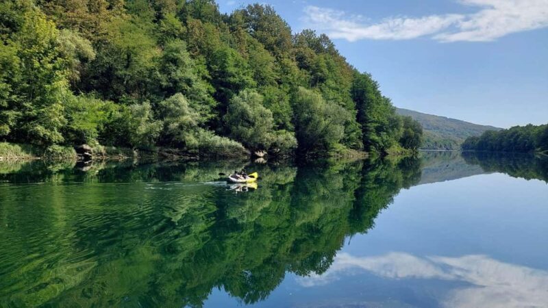 Tara National Park: Drina River Kayak or SUP Tour with Guide - Key Points
