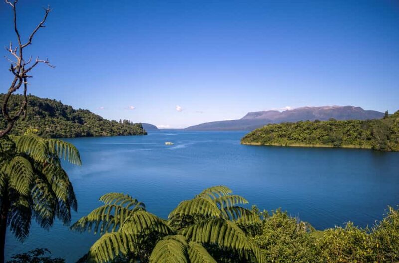 Tarawera and Lakes 2-Hour Duck Eco Tour - Key Points