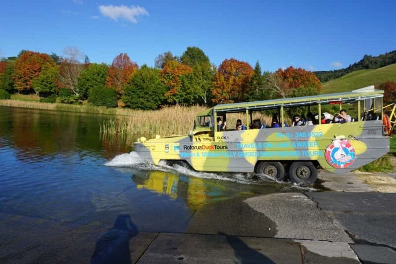 Tarawera and Lakes 2-Hour Duck Eco Tour - A Practical Guide to the Rotorua Lakes Duck Tour