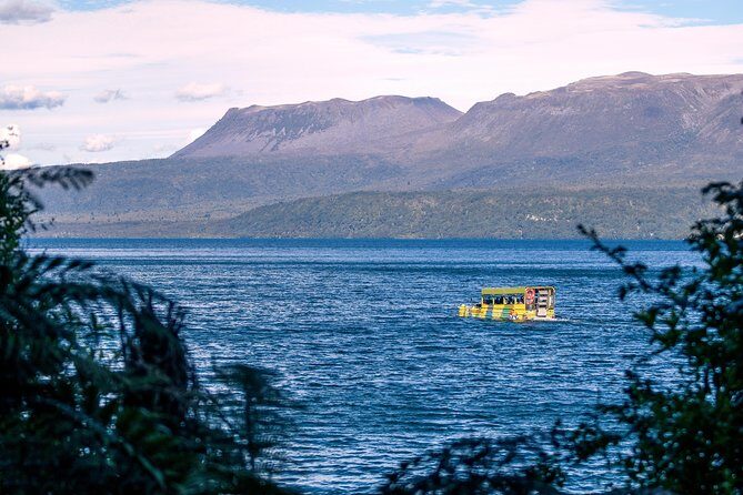 Tarawera and Rotorua Lakes Eco Tour by Boat with Guide - An In-Depth Look at the Rotorua Lakes Eco Tour