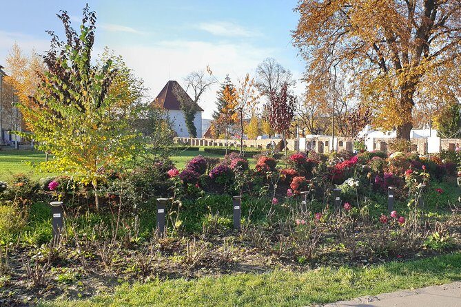 Targu Mures 3 hours walking tour - FAQs