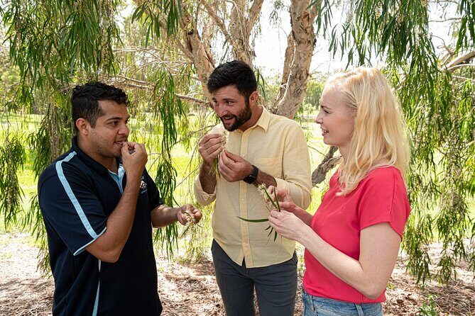 Taribelang Bunda Cultural Tours - Introduction: What This Tour Offers