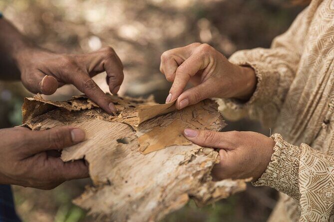 Taribelang Bunda Cultural Tours - Hummock Lookout and Morning Tea