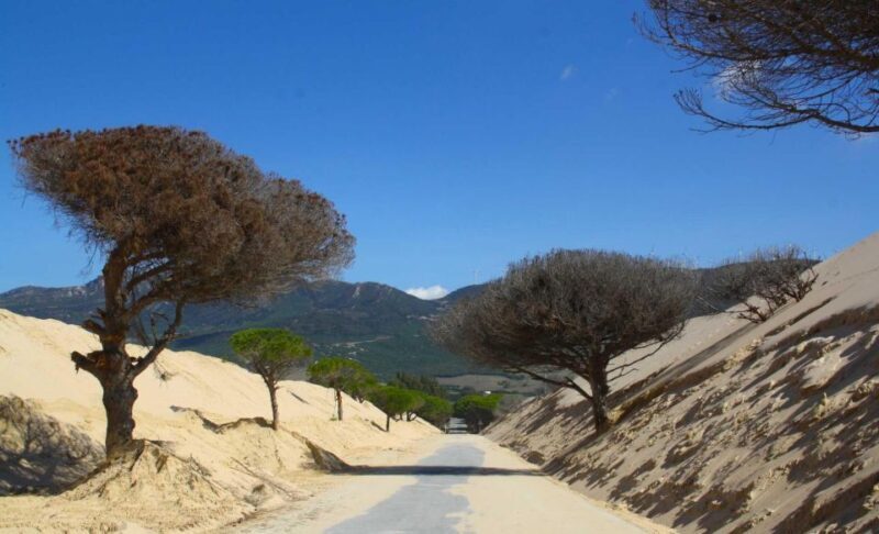 Tarifa: Ebike Rental Ruta del Estrecho - The Experience: What to Expect from Start to Finish