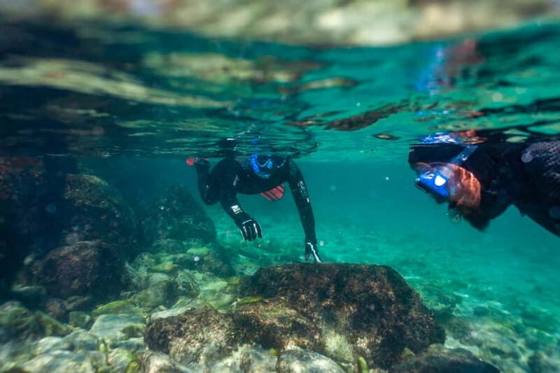 Tarifa: Guided Strait Natural Park Snorkel Tour - FAQ
