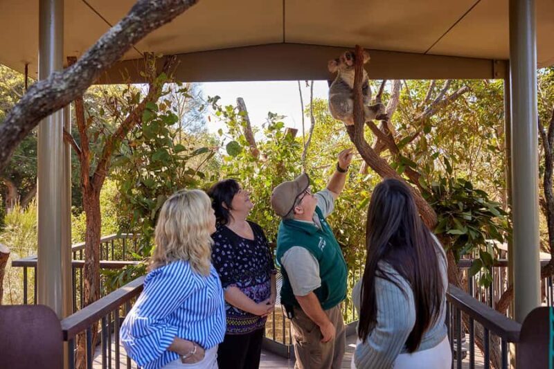 Taronga Zoo Sydney Wild Australia Experience - What To Know Before You Book