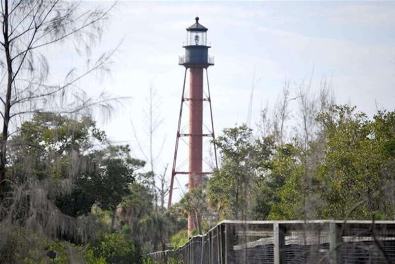 Tarpon Springs: Evening Dolphin Cruise - A Detailed Look at the Experience