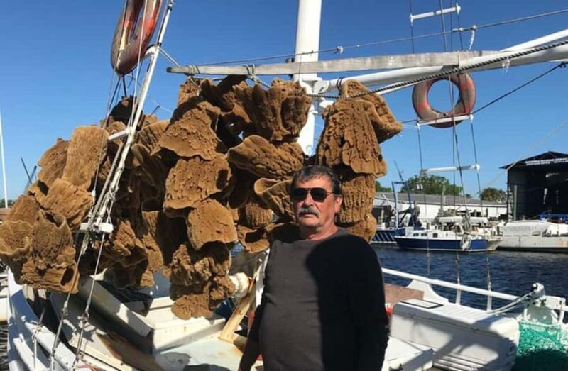 Tarpon Springs: I Came, I Saw... I Greeked Experience - Discovering Tarpon Springs: A Coastal Greek Community