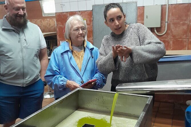 Tarragona: History & Olive Oil tasting from Barcelona - A Balanced Look at the Tarragona: History & Olive Oil Tasting Tour
