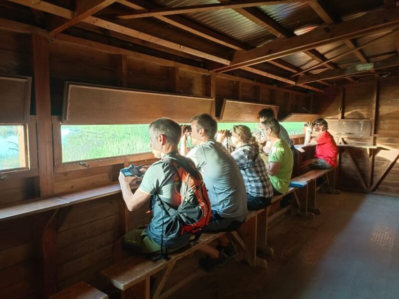 Tarragona: Southern Delta Birdwatching Private Tour - An Authentic Birdwatching Adventure in Catalonia’s Ebro Delta