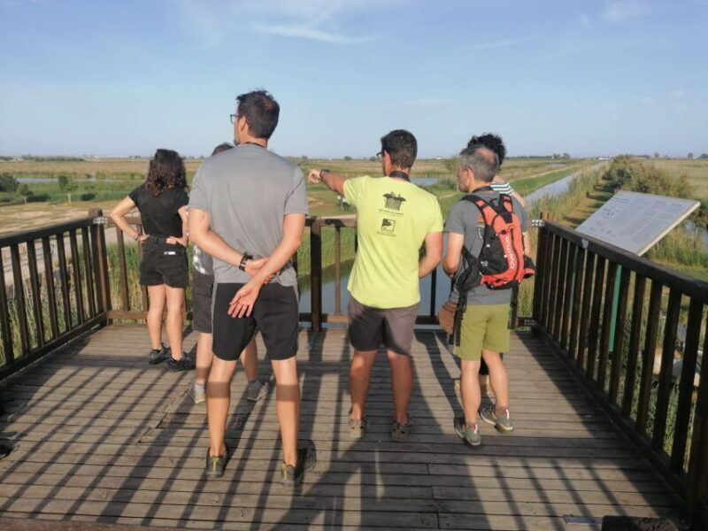 Tarragona: Southern Delta Birdwatching Private Tour - The Itinerary Breakdown: What to Expect