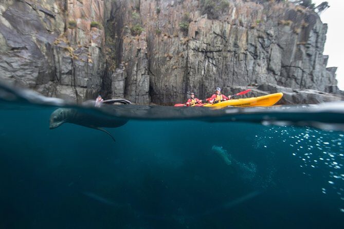 Tasman Peninsula full day kayaking tour - An Adventure in Natural Wonder: What the Tour Offers