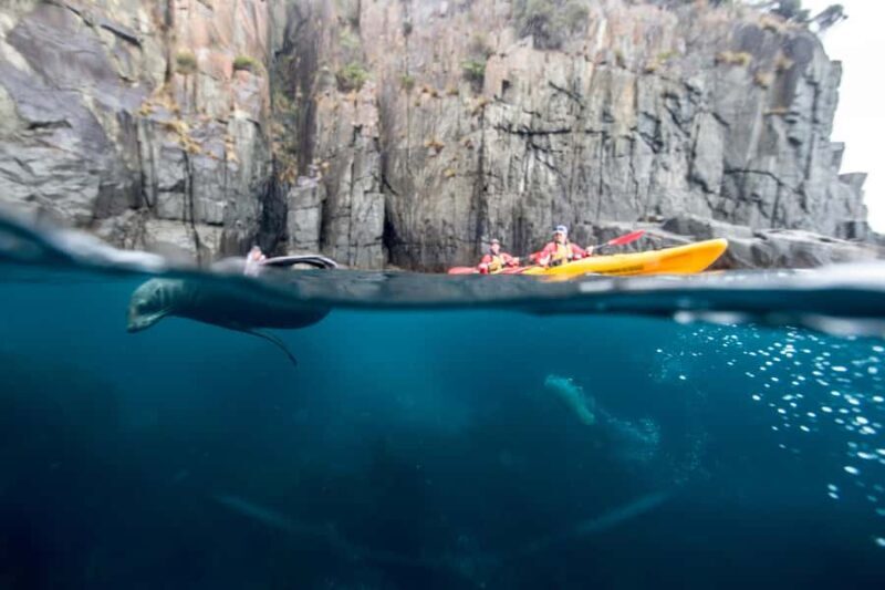 Tasman Peninsula Full-Day Sea Kayak Excursion - An In-Depth Look at the Adventure