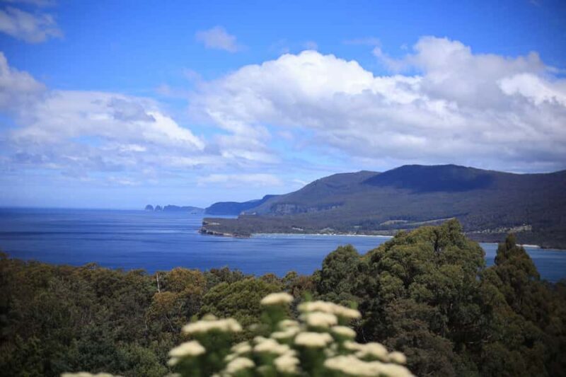 Tasman Peninsula Small-Group Guided Tour From Hobart - A Deep Dive into the Experience