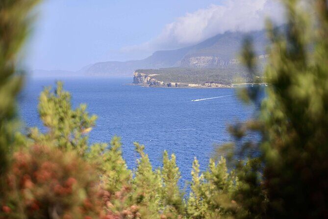 Tasman Peninsula Small-Group Guided Tour From Hobart - Key Points