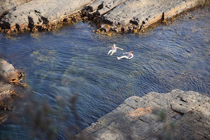 Tasman Peninsula Small-Group Guided Tour From Hobart - The Practicalities and Value