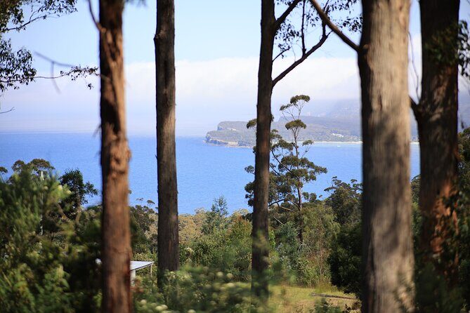 Tasman Peninsula Small-Group Guided Tour From Hobart - Who Will Love This Tour?