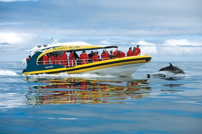 Tasman Peninsula Wilderness Cruise from Port Arthur - An In-Depth Look at the Tour Experience