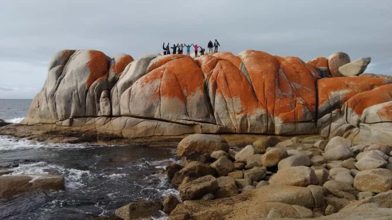 Tasmania: 7-Day West to East Tour - Key Points