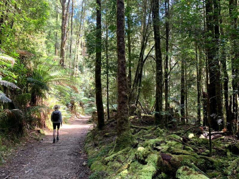 Tasmania: 7-Day West to East Tour - FAQ: Your Questions Answered