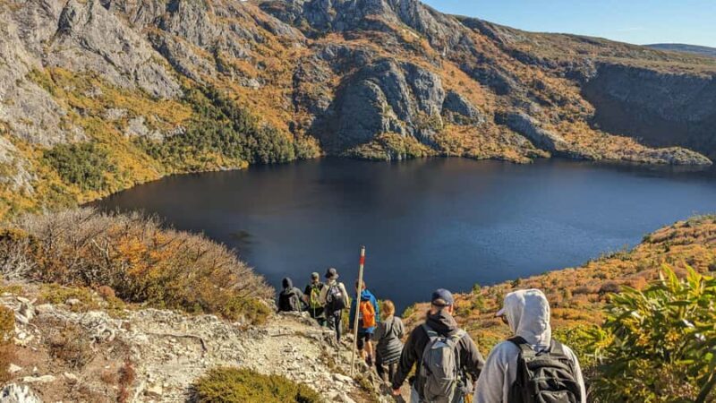 Tasmania: Wilderness and Wildlife Guided 6-Day Tour - An In-Depth Look at the 6-Day Tasmania Tour