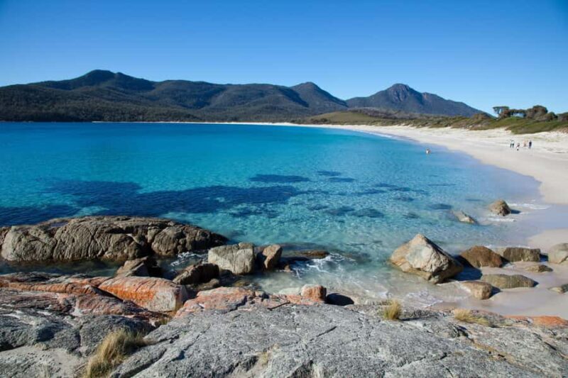Tasmania: Wilderness and Wildlife Guided 6-Day Tour - Why This Tour Is a Good Deal—and Who Will Love It