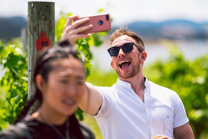 Tasmanian Premium Wine Tour with Tasmanian Cheese Platter - Authentic Moments and Highlights