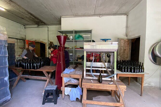 Taste and Tour Small Organic Wineries with a Winemaker - Practical Details and What to Expect