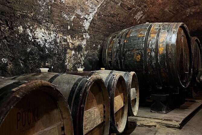 Taste and Tour Small Organic Wineries with a Winemaker - Final Thoughts: Is This Tour Worth It?