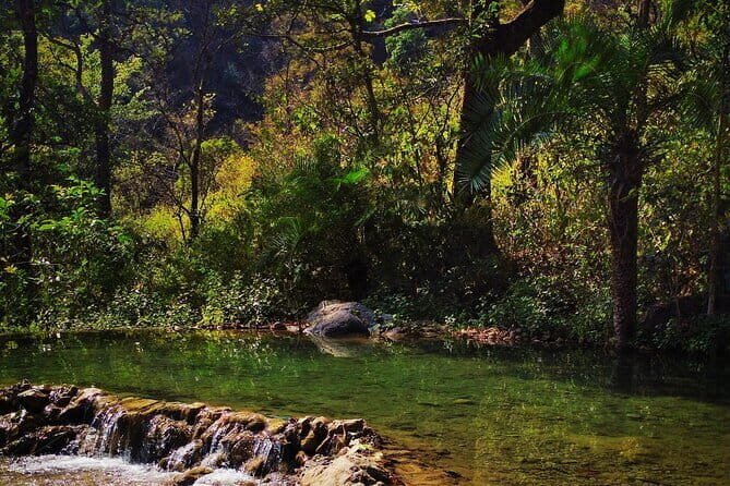 Taste Famous & Best Street Food of Old Delhi (Jama Masjid) - FAQ