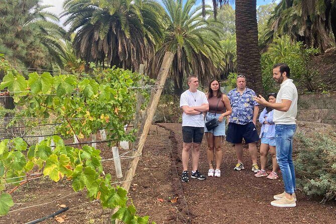 Taste Gran Canaria's unique wines - FAQ