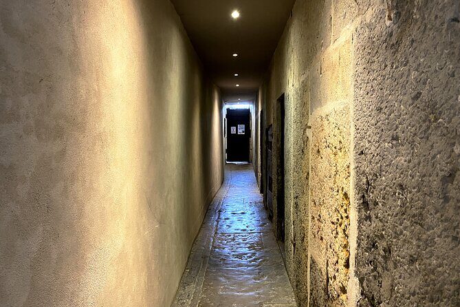 Taste Lyons Local Wines & Explore Hidden Traboules - Physical and Practical Considerations