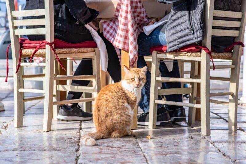 Taste of Athens: Half-Day Small Group Food Tour - FAQ