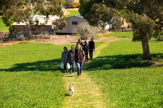 Taste of History Tour in Seppeltsfield - The Sum Up