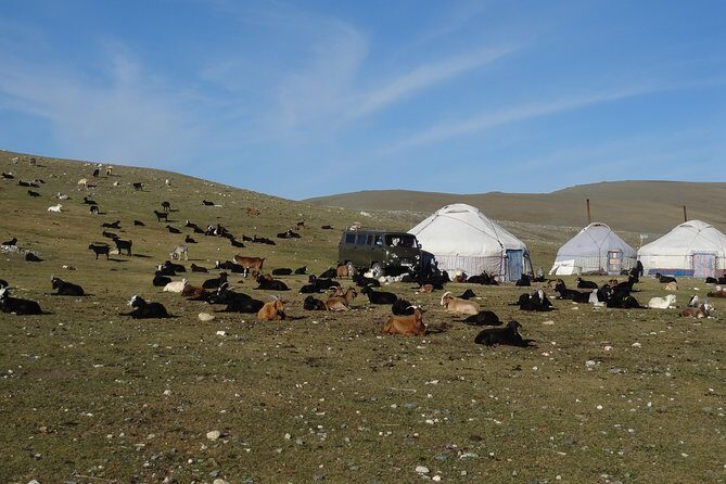 Taste of Mongolian Altai - FAQ