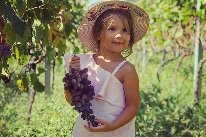 TASTE OF MONTENEGRO - Gastro Tour of Montenegrian Wine and food - Exploring the Itinerary in Detail