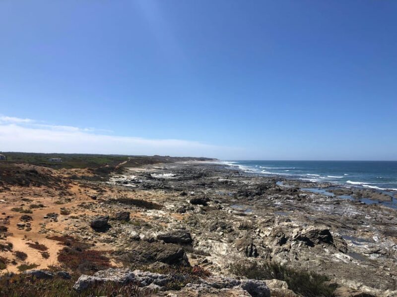 Taste of Setubal: Market Visit and Wine Tastings - The Sum Up