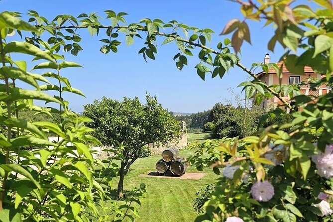 Taste of Sintras Wonders  Wine & Tapas Tasting Private Tour - Final Thoughts