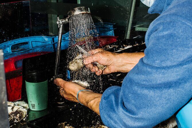 Taste of Sydney Fish Market Food Tour - Is the Price Worth It?