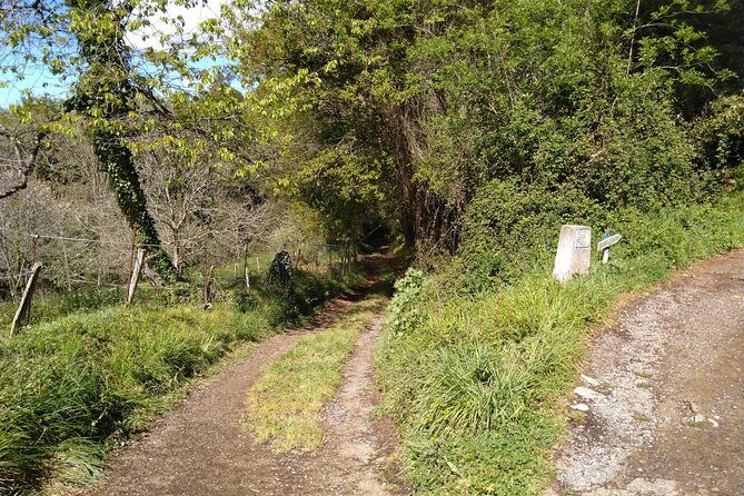 Taste of the Camino de Santiago - Scenic Beauty and Atmosphere
