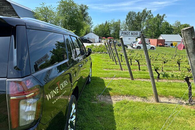 Taste of the Valley Private Wine Tour - A Closer Look at the Itinerary