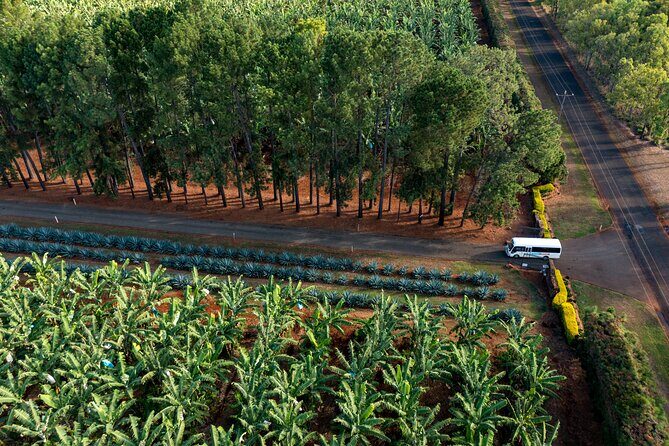 Taste the Atherton Tablelands Food & Wine Tour from Port Douglas - FAQs