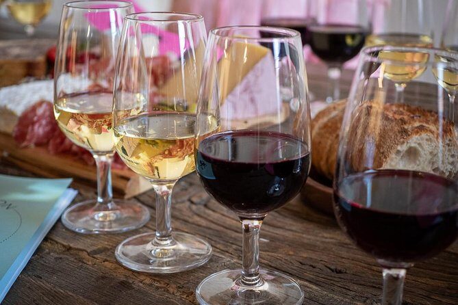 Taste Wine in Lyon: Burgundy, Beaujolais, Rhône, and more - Who Should Book This Tour?