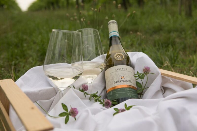 Taste with us Bardolino, Chiaretto and Lugana near Verona - Key Points