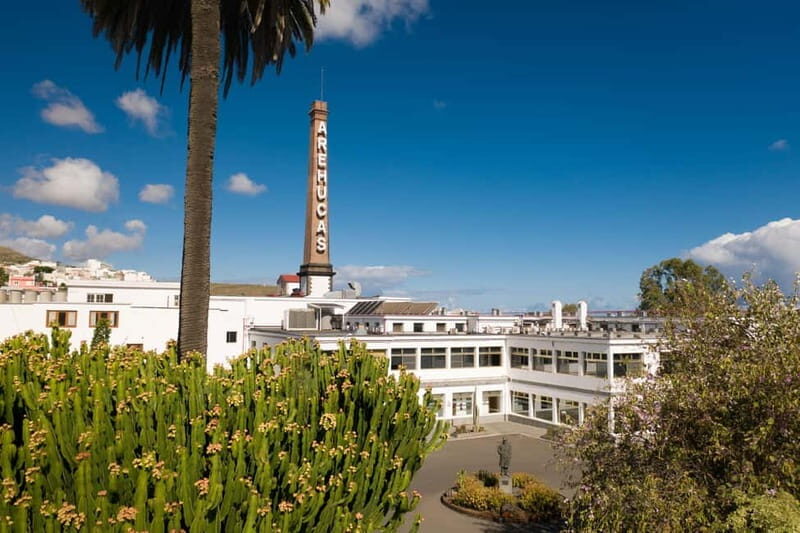 Tastes of Gran Canaria A Day of Flavours and Culture - Key Points