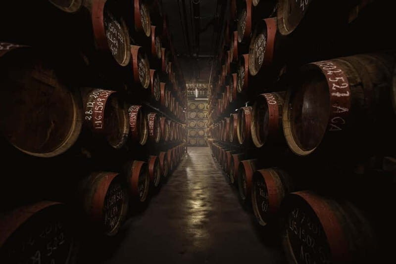 Tastes of Gran Canaria A Day of Flavours and Culture - The Sum Up