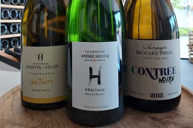 Tasting and discovery of the 3 Champagne grape varieties - Authentic and Enjoyable Atmosphere